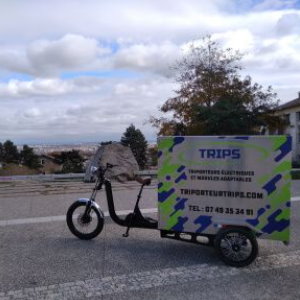 Cargo Delivery electric scooter