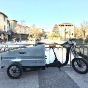 Trips electric pickup scooter